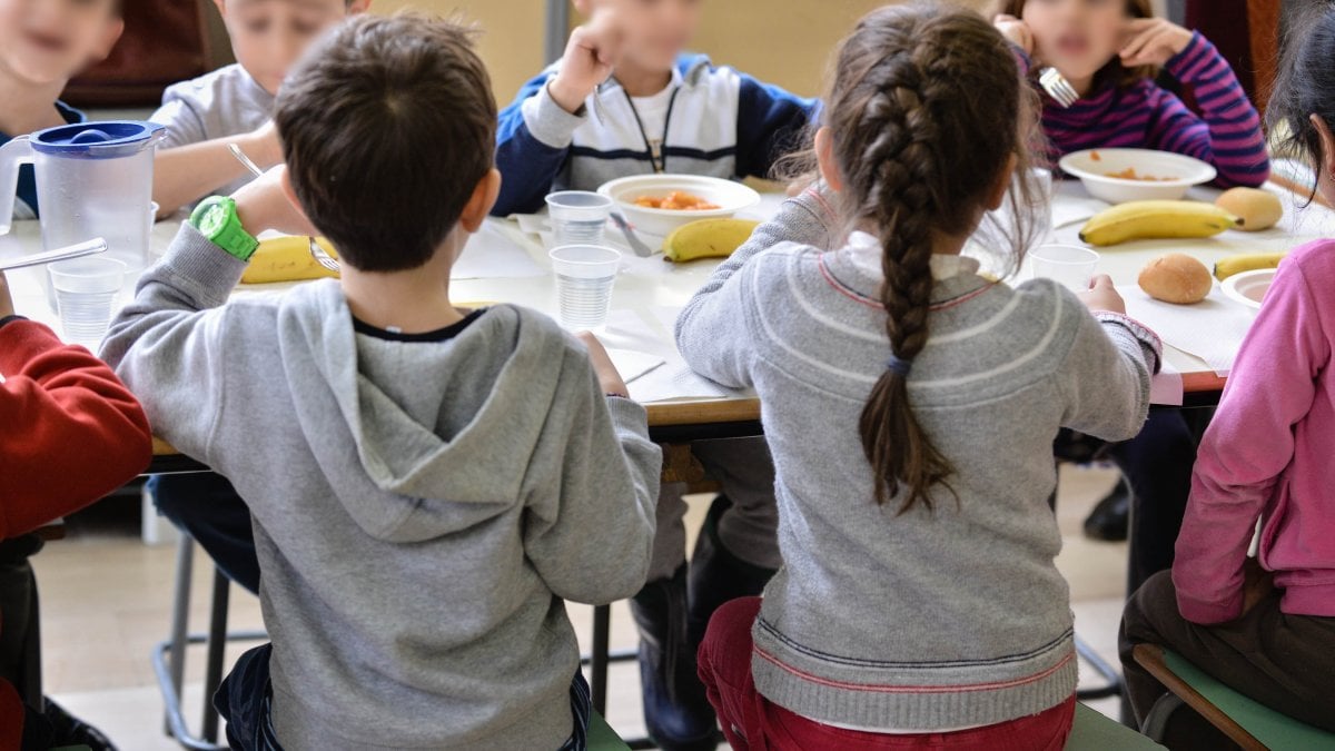 Mense Scolastiche A Pordenone, La Sicurezza Alimentare E I Menù ...